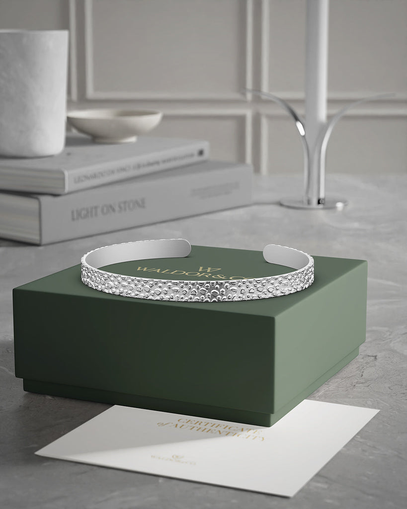 Frost Bangle Polished